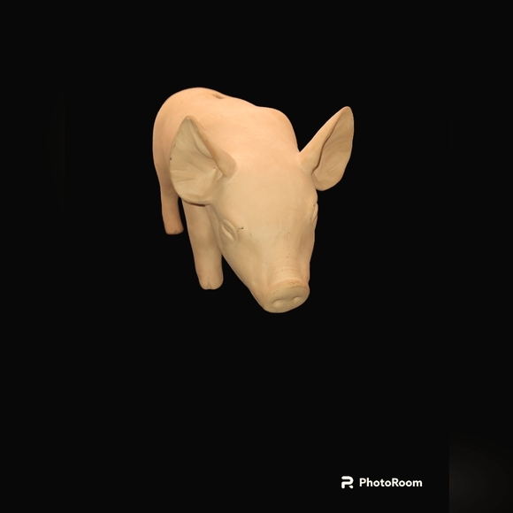 Piggy Bank - Picture 13 of 14